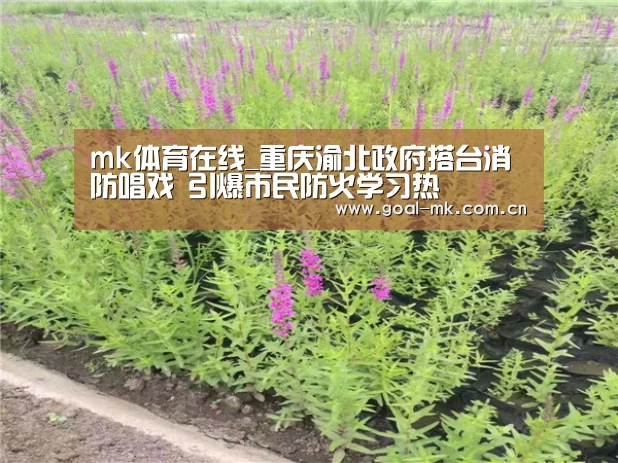 mk体育在线_重庆渝北政府搭台消防唱戏 引爆市民防火学习热(图3) mk体育在线