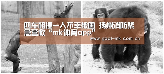 四车相撞一人不幸被困 扬州消防紧急营救“mk体育app”(图2) mk sports