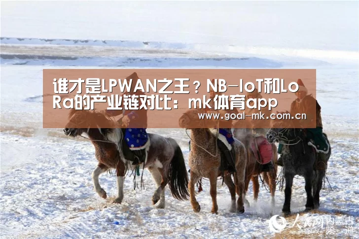 谁才是LPWAN之王?NB-IoT和LoRa的产业链对比:mk体育app(图1) mk体育在线