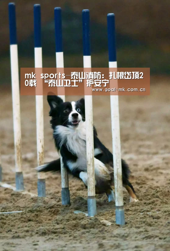 mk sports-泰山消防:扎根岱顶20载 “泰山卫士”护安宁(图1) mk体育app