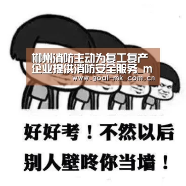 郴州消防主动为复工复产企业提供消防安全服务_mk sports(图1) mk sports
