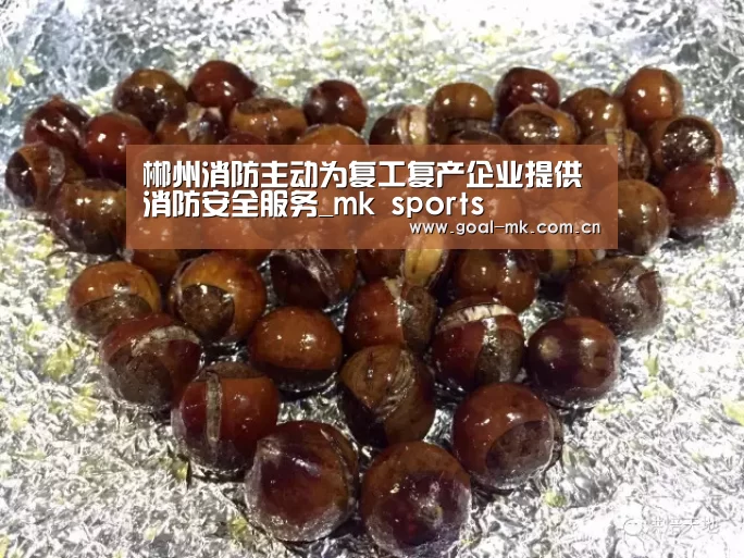 郴州消防主动为复工复产企业提供消防安全服务_mk sports(图2) mk体育app