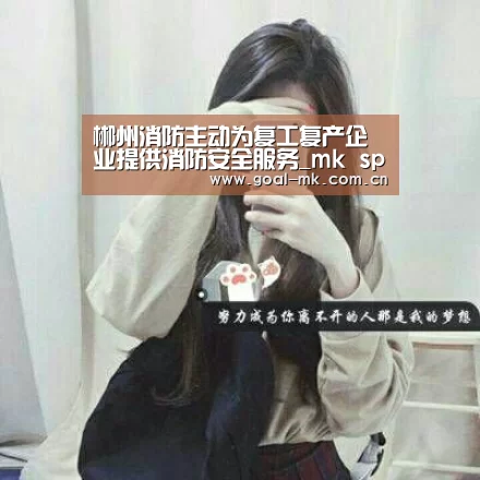 郴州消防主动为复工复产企业提供消防安全服务_mk sports(图3) mk体育在线